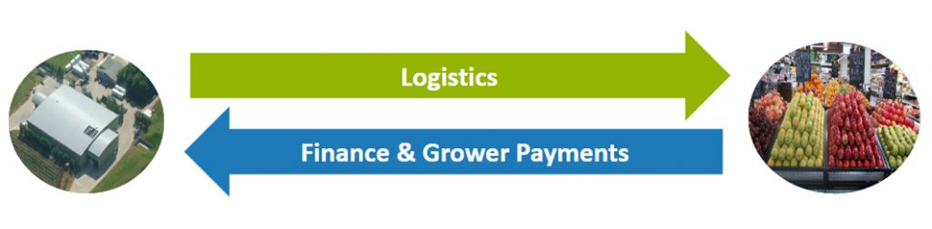 iroot logistics